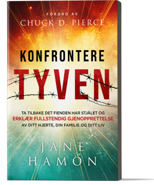 Konfrontere tyven