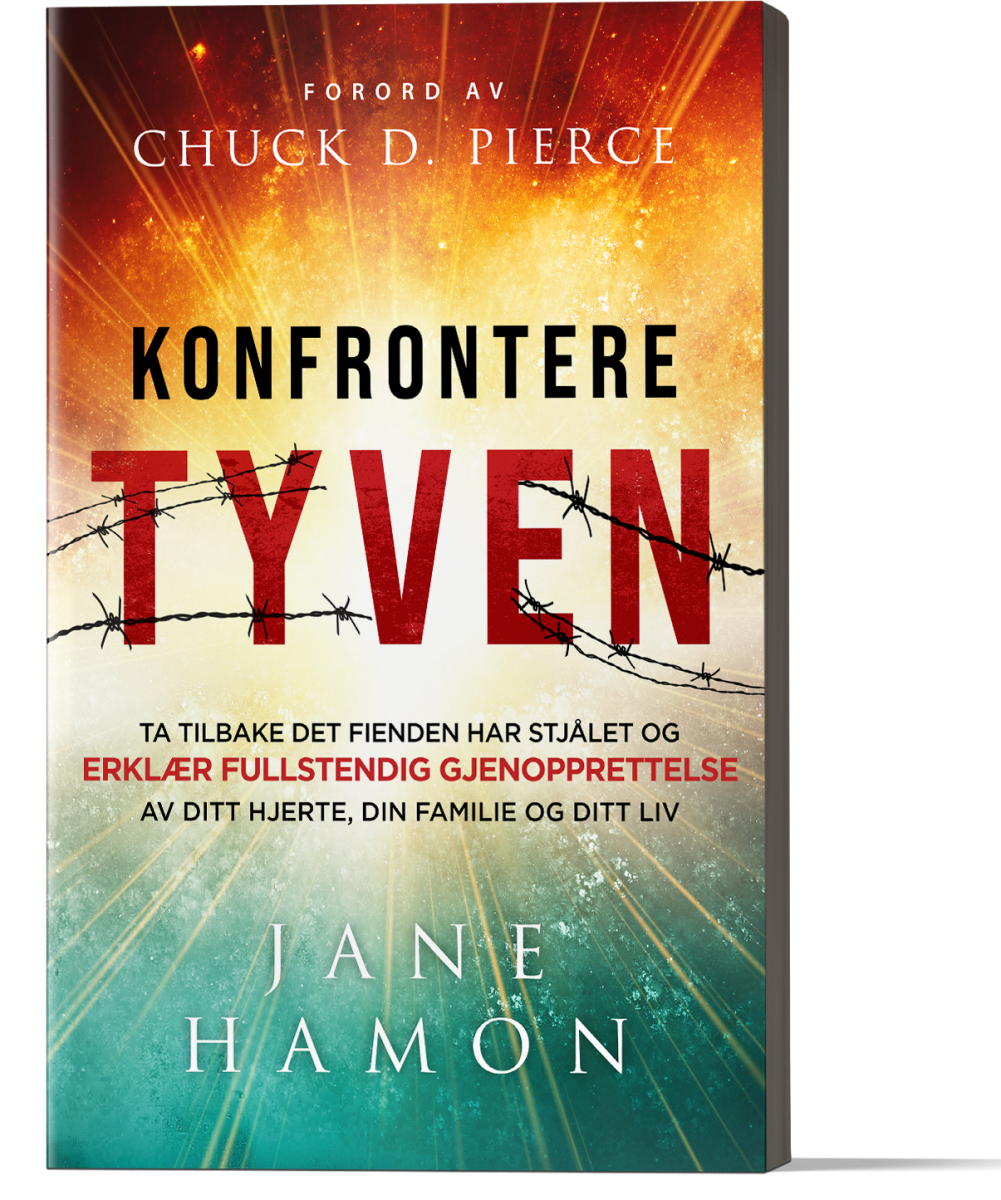 Konfrontere tyven